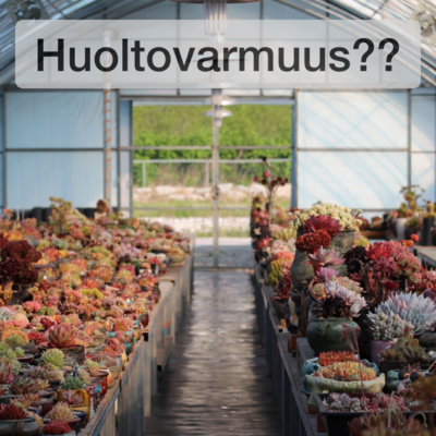 Elsi Kataisen ja Petri Sarvamaan aloite 141-tuen jatkamisesta on vahingollinen ilmastolle ja Suomen julkiselle taloudelle